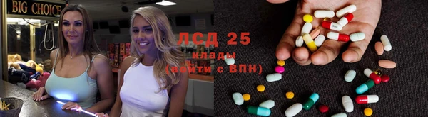 прущие крисы Козловка