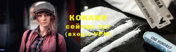 прущие крисы Козловка