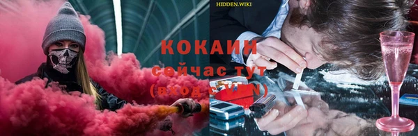 прущие крисы Козловка