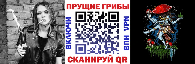 наркошоп Чудово Псилоцибиновые грибы Cubensis