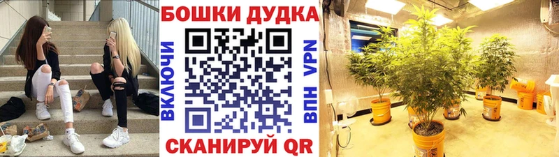 Конопля SATIVA & INDICA  Чудово 